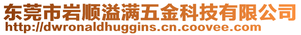 東莞市巖順溢滿五金科技有限公司