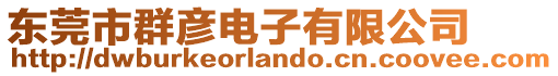 東莞市群彥電子有限公司