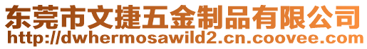 東莞市文捷五金制品有限公司