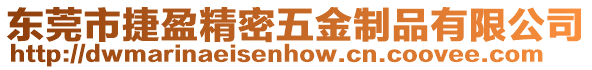 東莞市捷盈精密五金制品有限公司