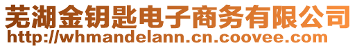 蕪湖金鑰匙電子商務(wù)有限公司