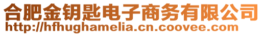 合肥金鑰匙電子商務有限公司