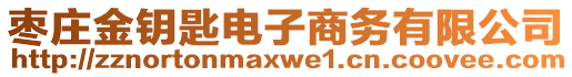 棗莊金鑰匙電子商務(wù)有限公司