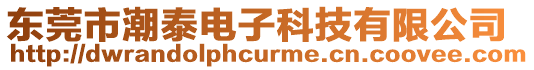 東莞市潮泰電子科技有限公司