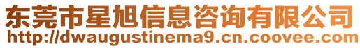 東莞市星旭信息咨詢有限公司
