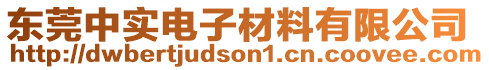 東莞中實電子材料有限公司