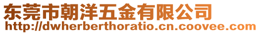 東莞市朝洋五金有限公司