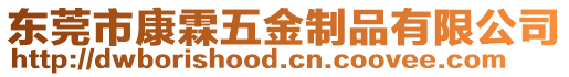東莞市康霖五金制品有限公司
