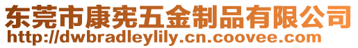 東莞市康憲五金制品有限公司