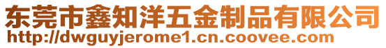東莞市鑫知洋五金制品有限公司