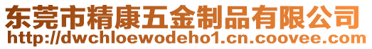 東莞市精康五金制品有限公司