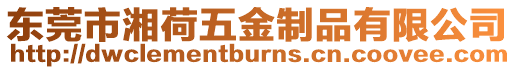 東莞市湘荷五金制品有限公司