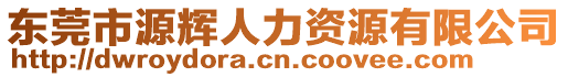 東莞市源輝人力資源有限公司