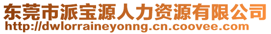 東莞市派寶源人力資源有限公司