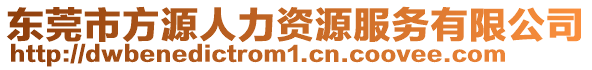 東莞市方源人力資源服務有限公司