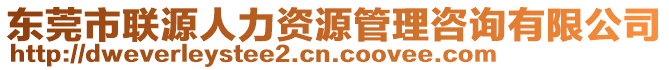 東莞市聯源人力資源管理咨詢有限公司