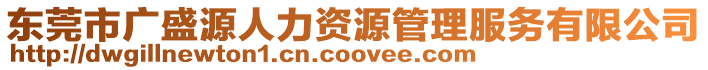 東莞市廣盛源人力資源管理服務有限公司