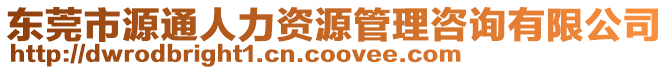 東莞市源通人力資源管理咨詢有限公司