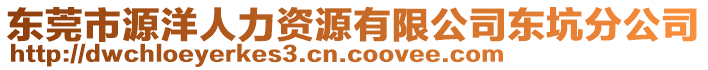 東莞市源洋人力資源有限公司東坑分公司