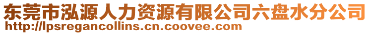 東莞市泓源人力資源有限公司六盤(pán)水分公司