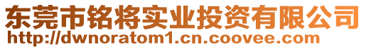 東莞市銘將實業投資有限公司