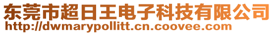 東莞市超日王電子科技有限公司