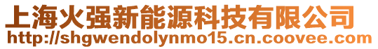 上海火強新能源科技有限公司
