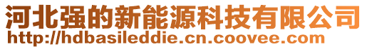 河北強的新能源科技有限公司