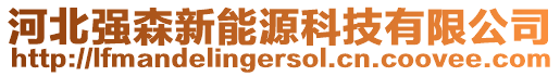 河北強森新能源科技有限公司