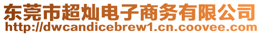 東莞市超燦電子商務(wù)有限公司