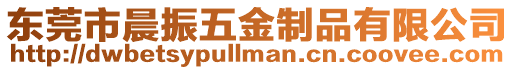 東莞市晨振五金制品有限公司