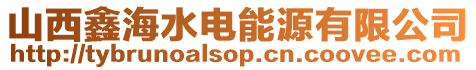 山西鑫海水電能源有限公司