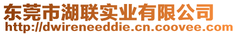 東莞市湖聯(lián)實業(yè)有限公司