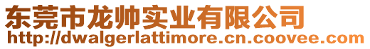 東莞市龍帥實業有限公司