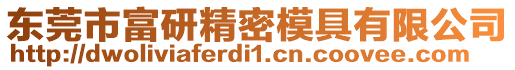 東莞市富研精密模具有限公司