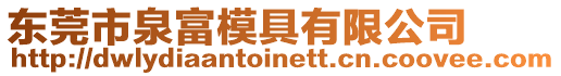 東莞市泉富模具有限公司