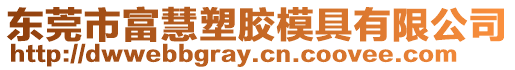 東莞市富慧塑膠模具有限公司