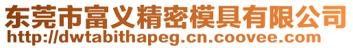 東莞市富義精密模具有限公司