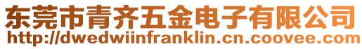 東莞市青齊五金電子有限公司