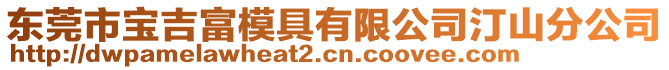 東莞市寶吉富模具有限公司汀山分公司
