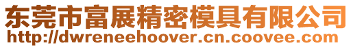 東莞市富展精密模具有限公司