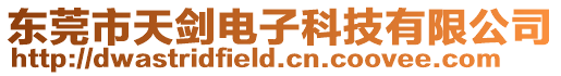 東莞市天劍電子科技有限公司