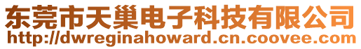 東莞市天巢電子科技有限公司
