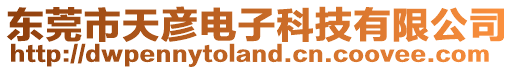 東莞市天彥電子科技有限公司