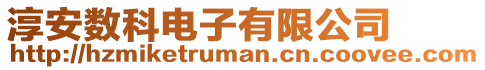 淳安數科電子有限公司