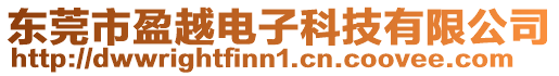東莞市盈越電子科技有限公司
