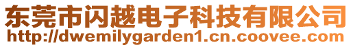 東莞市閃越電子科技有限公司