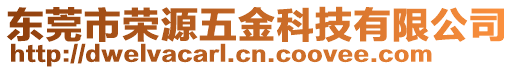 東莞市榮源五金科技有限公司