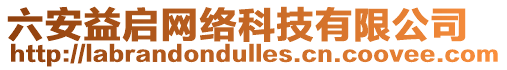 六安益啟網絡科技有限公司