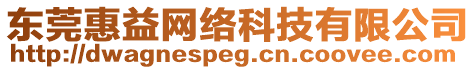 東莞惠益網(wǎng)絡(luò)科技有限公司
